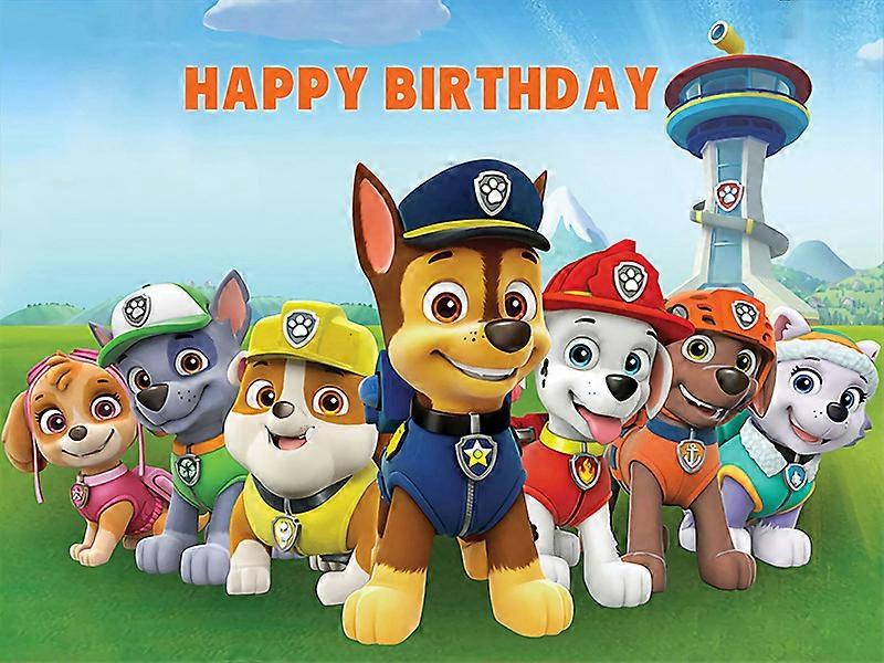 Vinyl photo backdrop, birthday backdrop, new