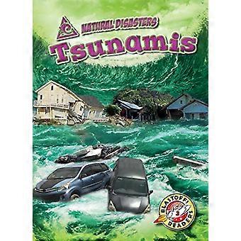 Tsunameja (luonnonkatastrofit)