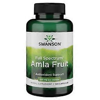 Premium full spectrum amla fruit 500mg 120 capsules of 500mg