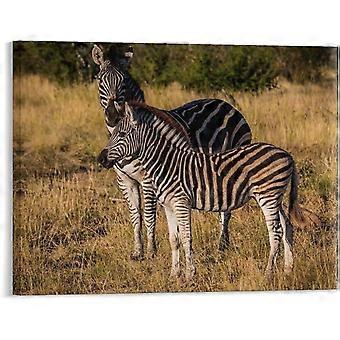 Puzzle moderno con zebra e animali selvatici, stile rustico per la decorazione di casa e lavanderia VV706