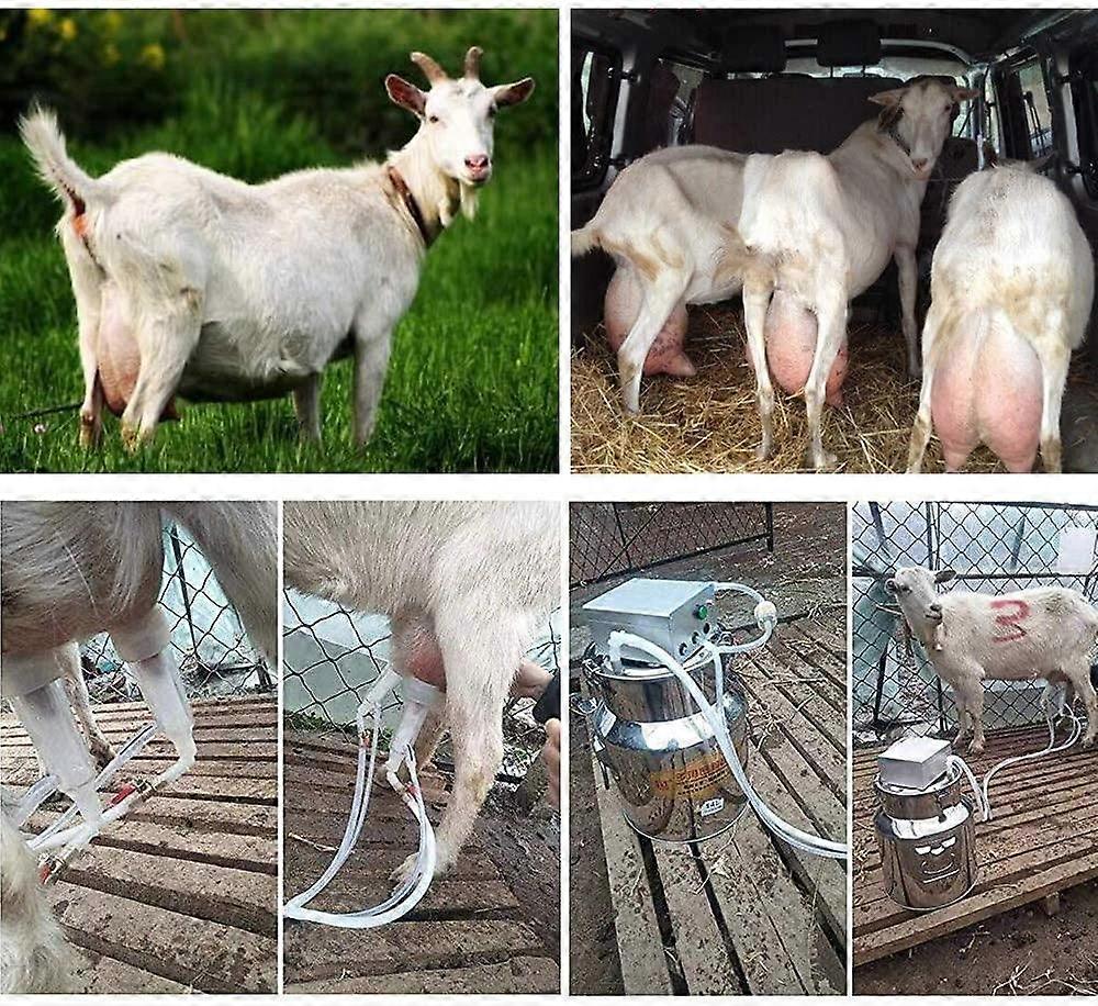 Electric Milking Machine for Sheep Automatic Milker with Adjustable Vacuum Pump and Easy Setup Kit