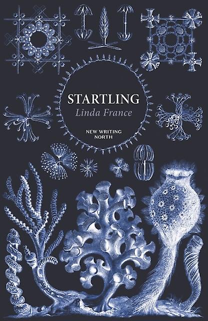 Startling by Linda France Paperback Book
