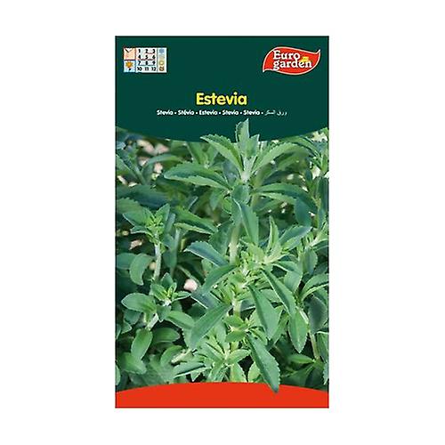 Stevia seeds 30 units