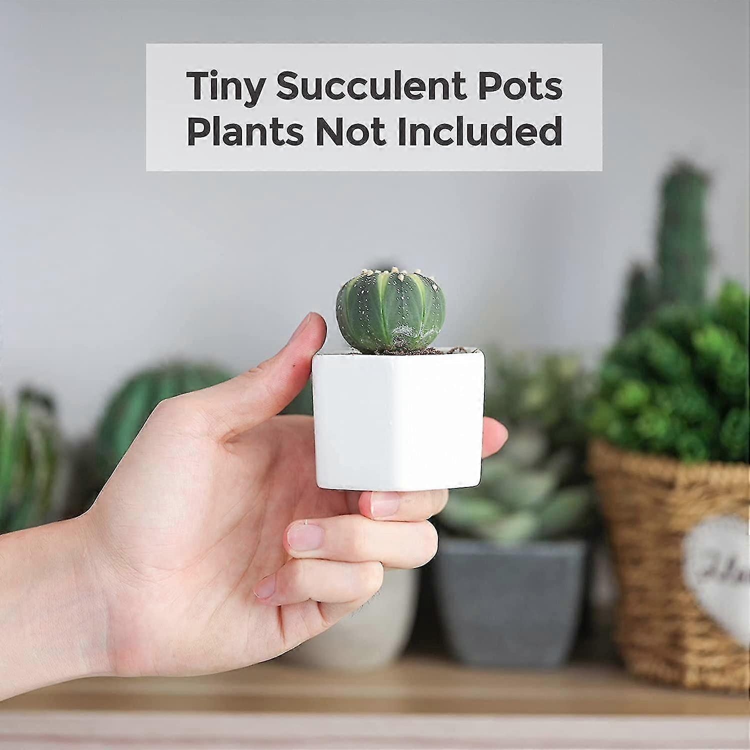 Small White Succulent Planter Pots With Bamboo Tray Hexagon Set Of 4, Geometric Cactus Plant Holder Container For Home Office Table Desk Decoration Fo