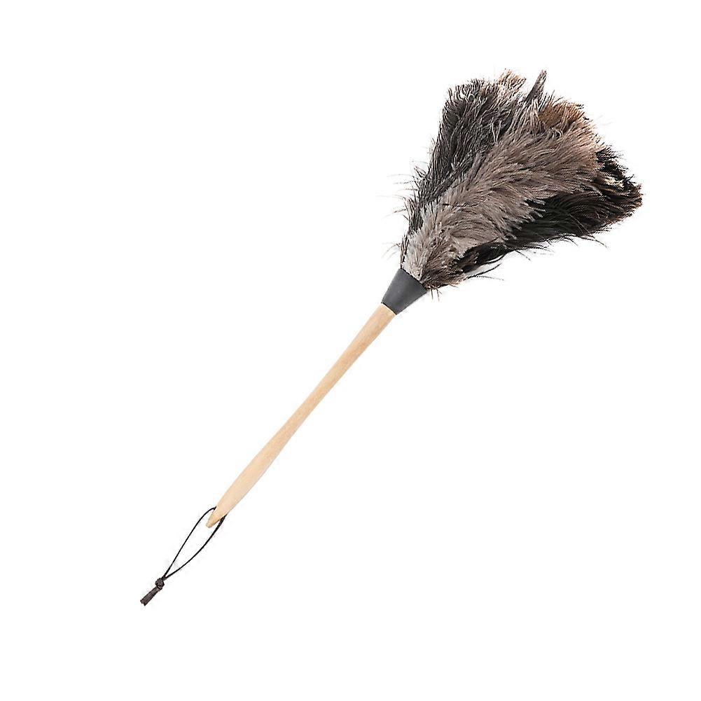 Ostrich Feather Duster with Wooden Handle for TV Bookshelf Car
