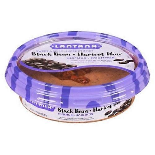 Lantana Black Bean Haricot Noir Hummus, 283 Grams (Case Of 8)
