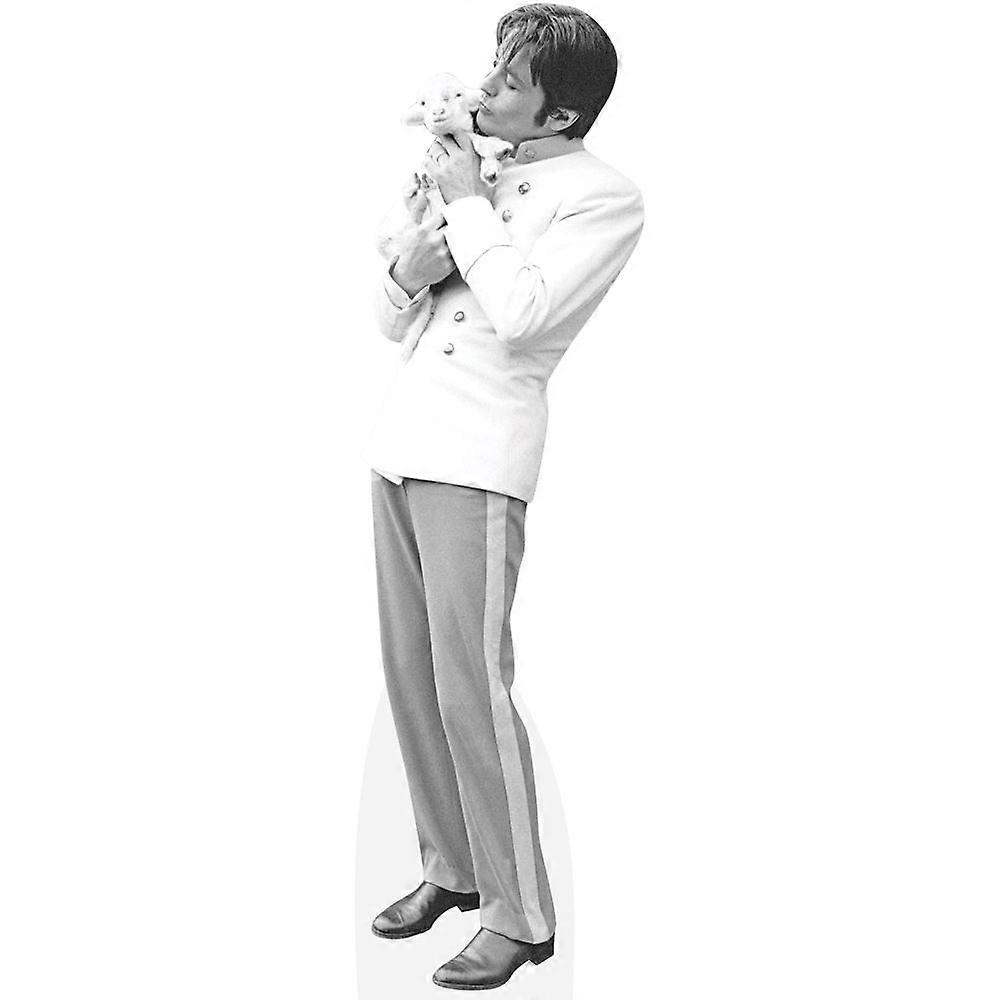 Alain Delon (Lamb) Cardboard Cutout (lifesize OR mini size). Standee. Stand Up.