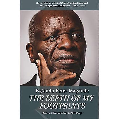 The Depth of My Footprints