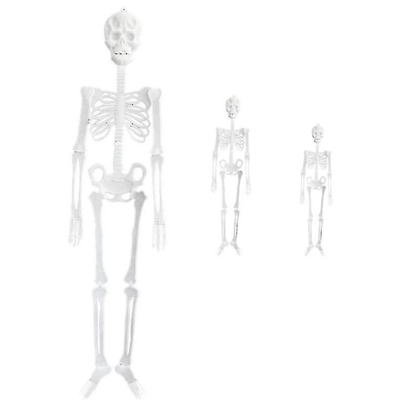 3pcs Halloween Skeleton For Halloween Decor