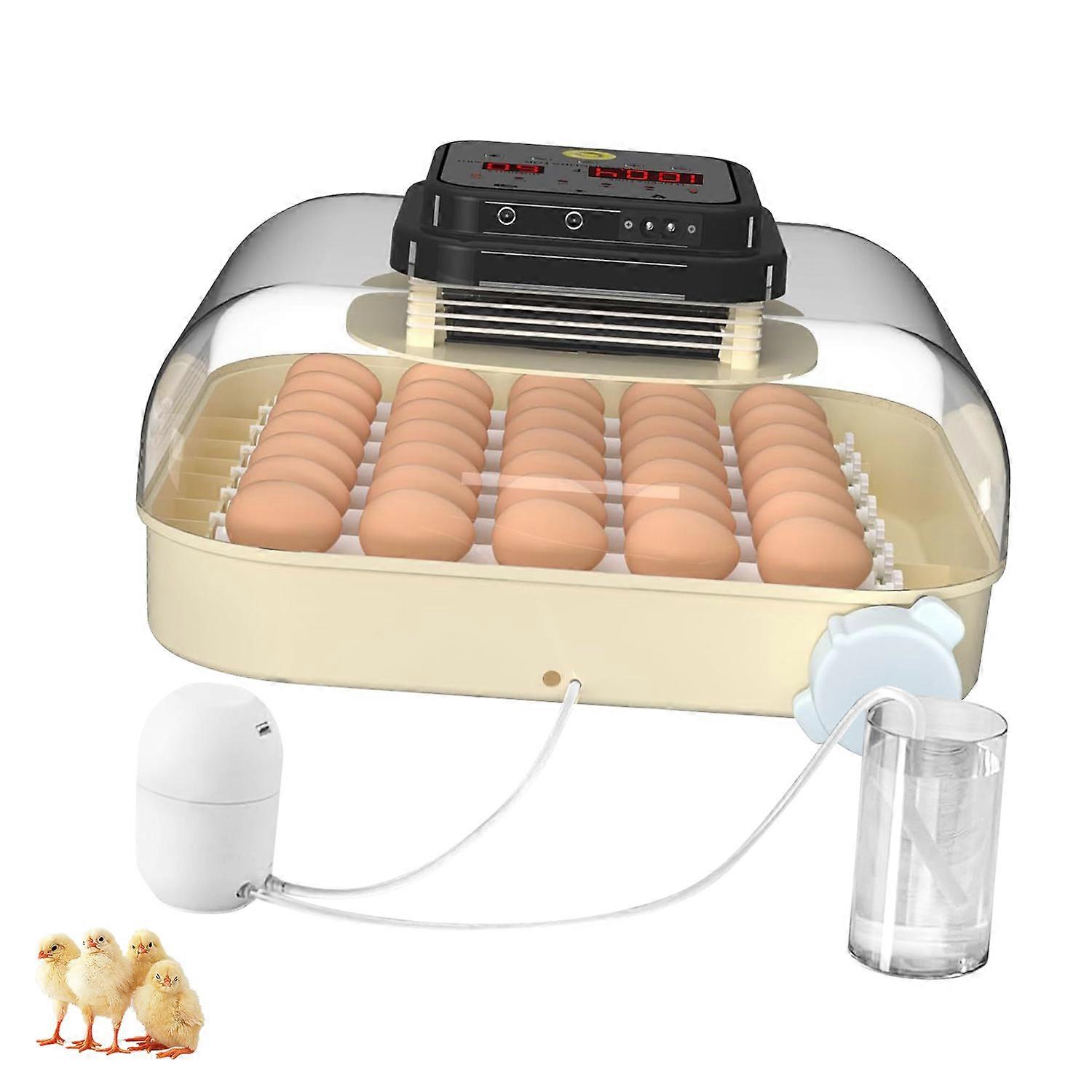 Perspective Oocyte Incubator With Intelligent Regulator And Hard Wearing ABS Housing Multicolor