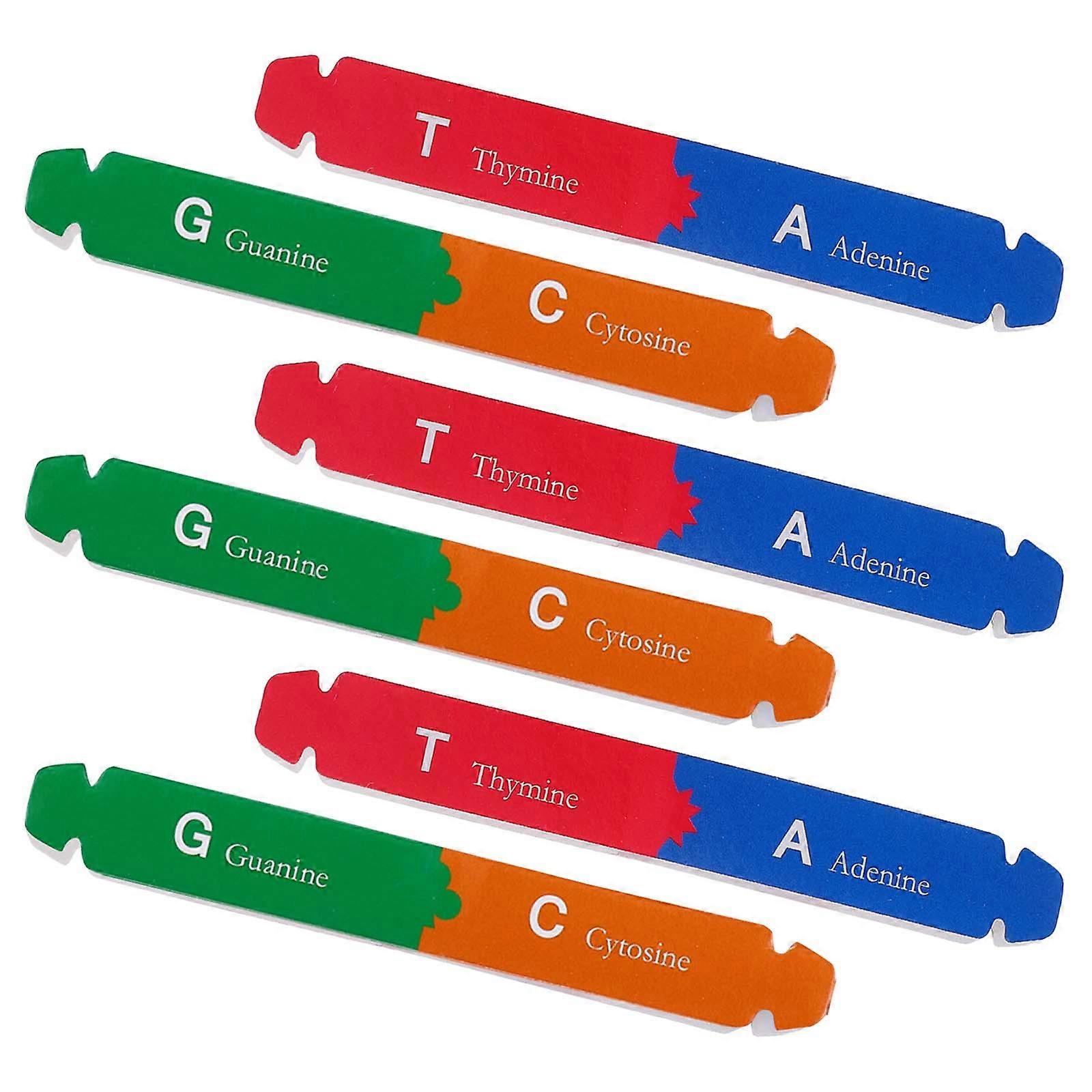 Dna Spiral Educational Dna Double Helix Model for Children DIY Science Kit