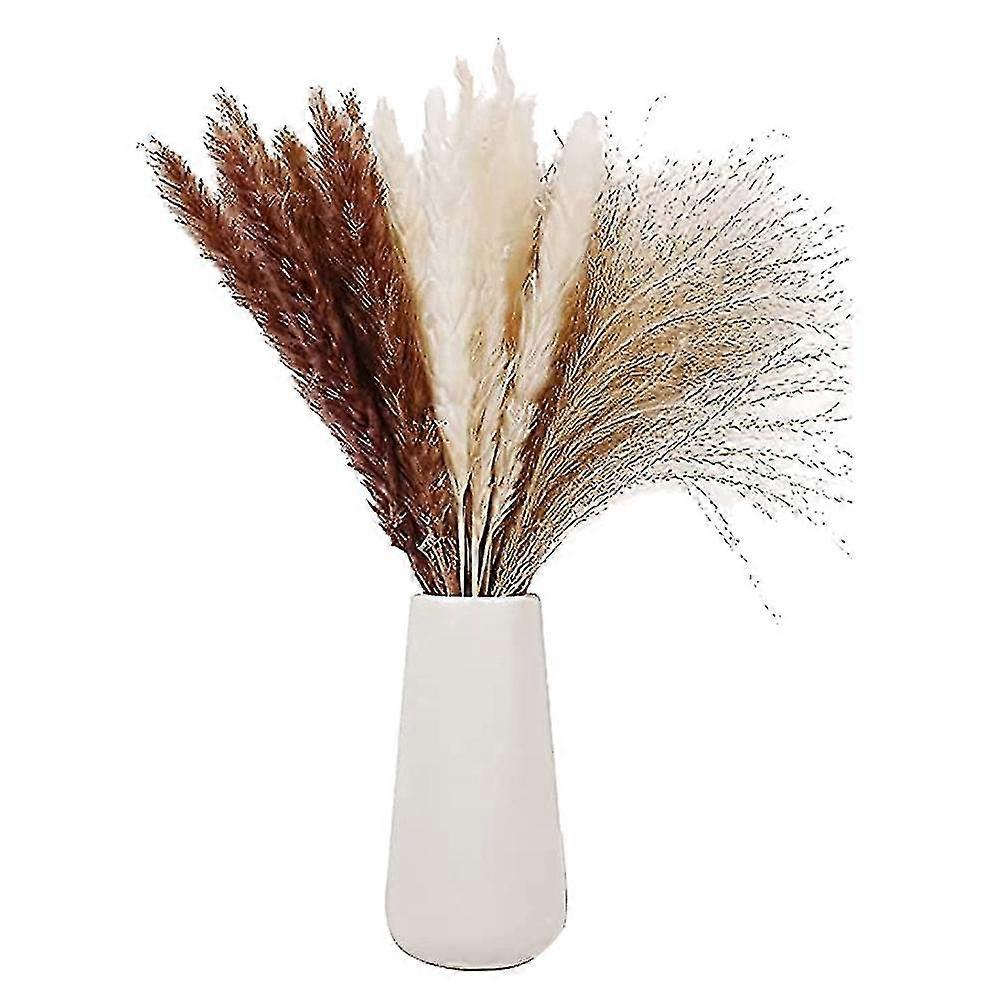 Natural Dried Pampas Grass,pampas,reed Grass,fluffy Rabbit Tails