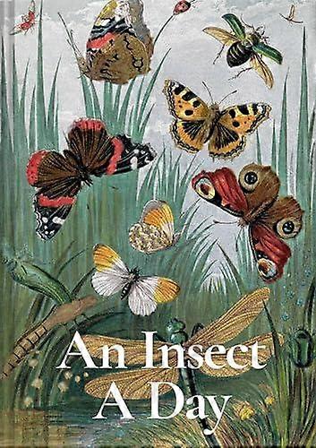 An Insect A Day by Gail Ashton Paperback Book