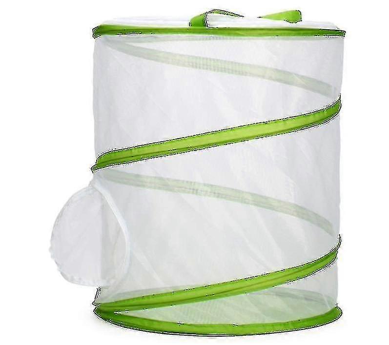 Insect And Butterfly Habitat Cage