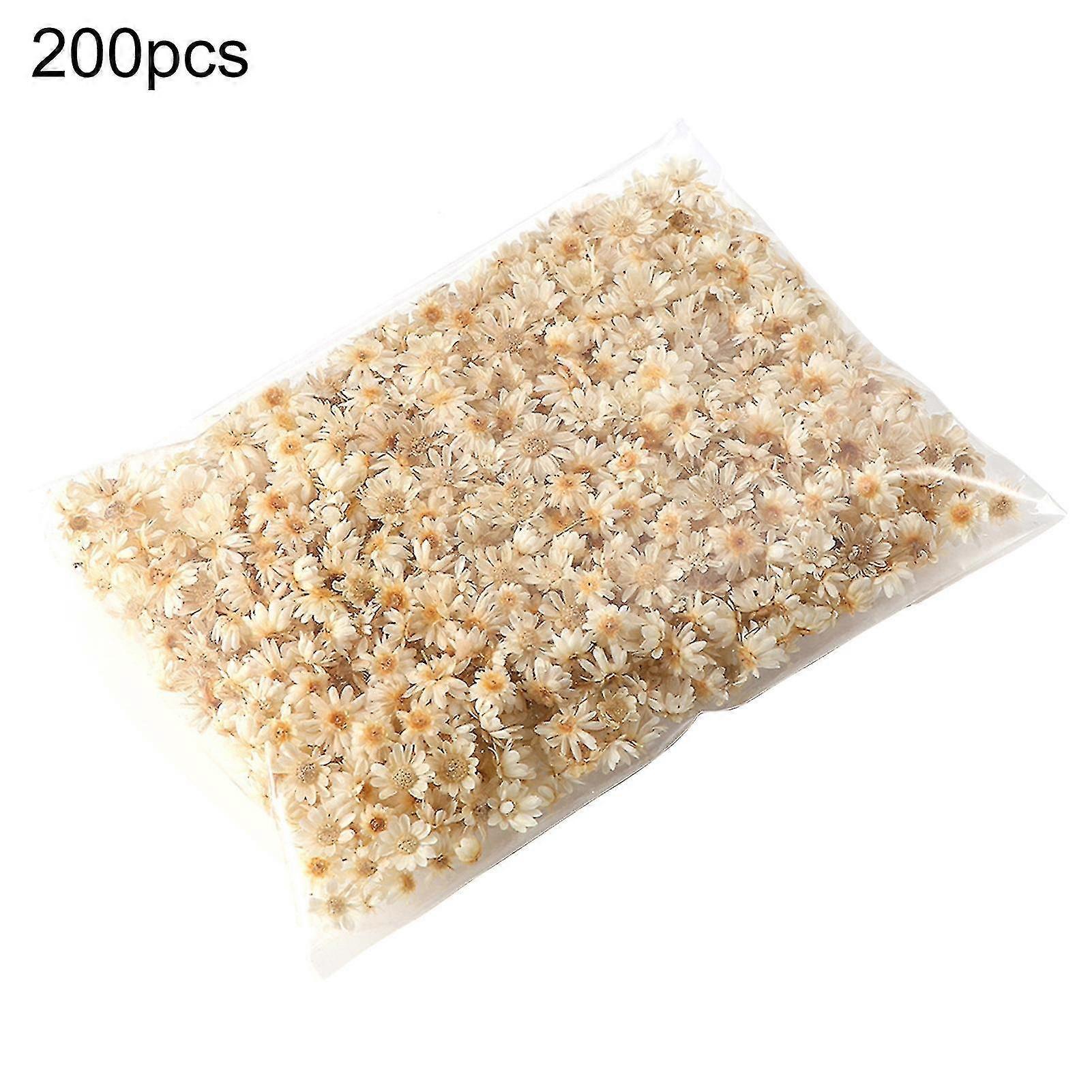 200pcs Preserved Flower Eyecatcher Bright Coloured Lange Lasting Durable Visual Effect Dried Flower Display For DIY