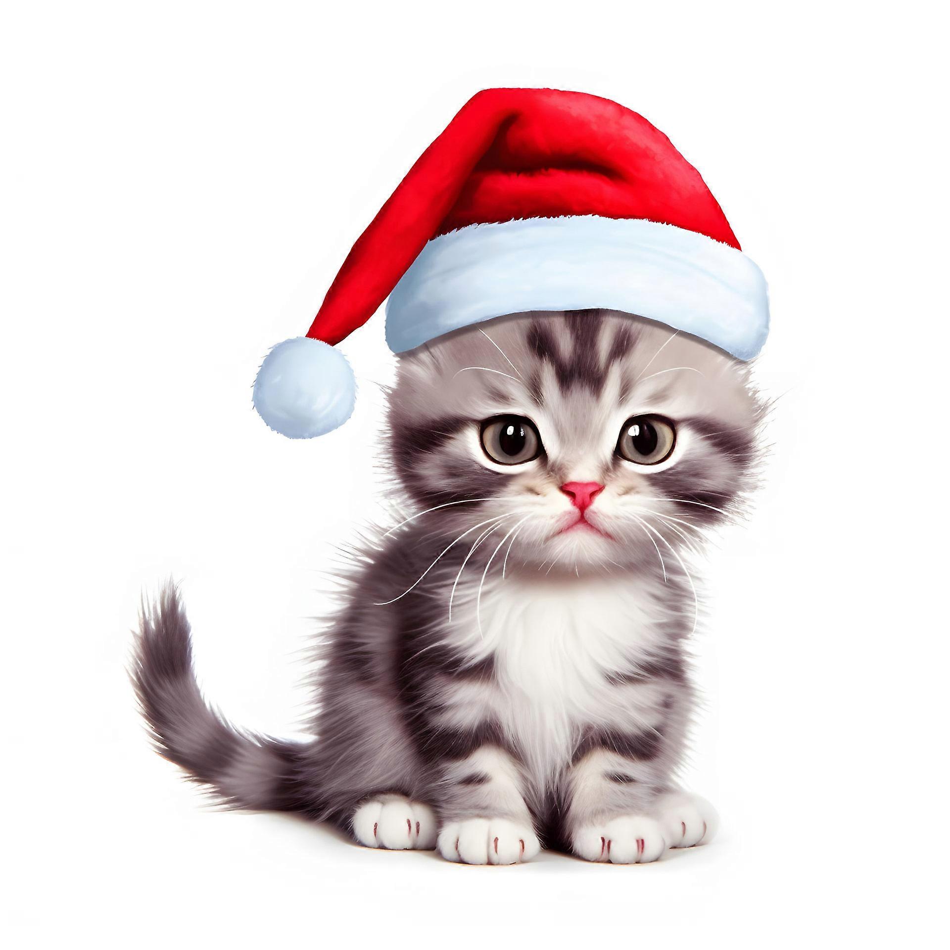 Katt i en tomteluva 2D dekorativ julprydnad