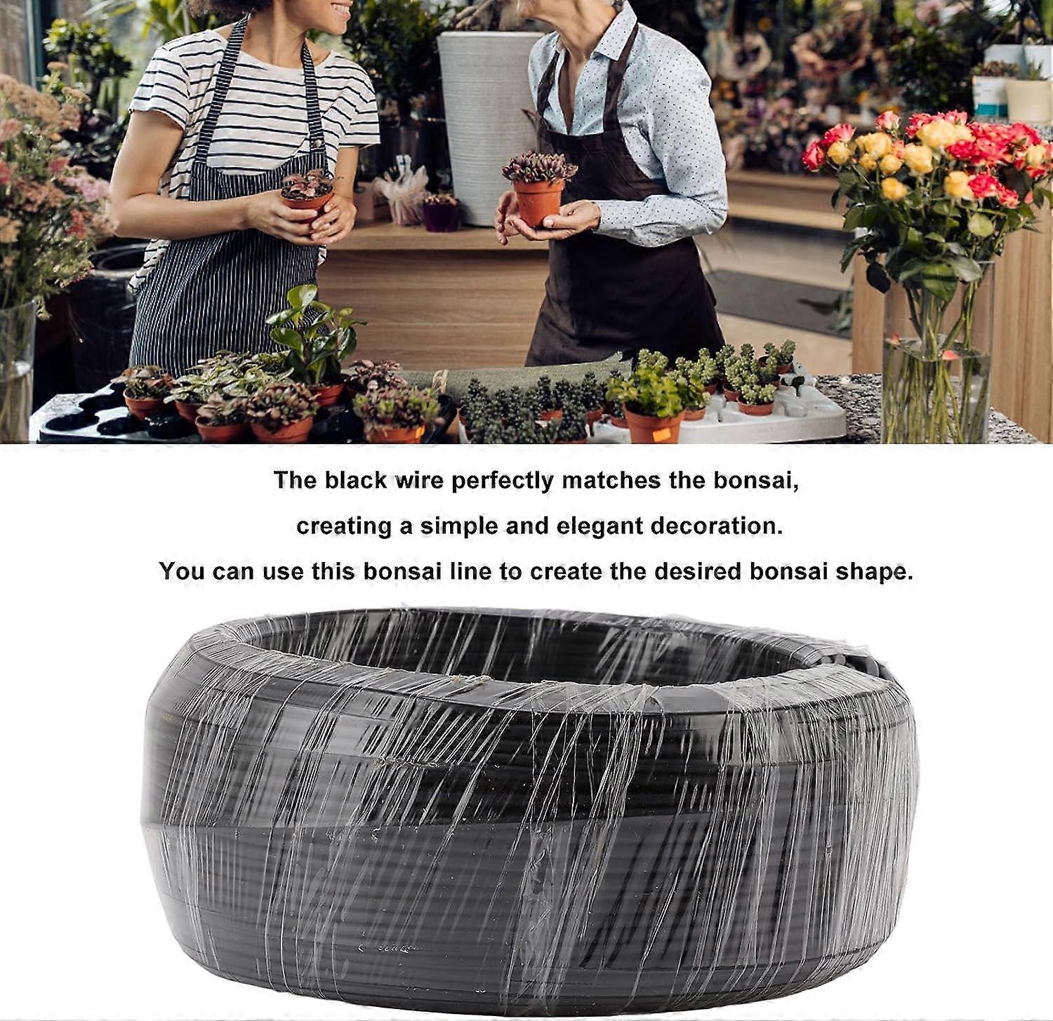 Bonsai Wire, Rustproof Easy Forming Bonsai Training Wire Wide Application 500g for Plants (3.5mm)