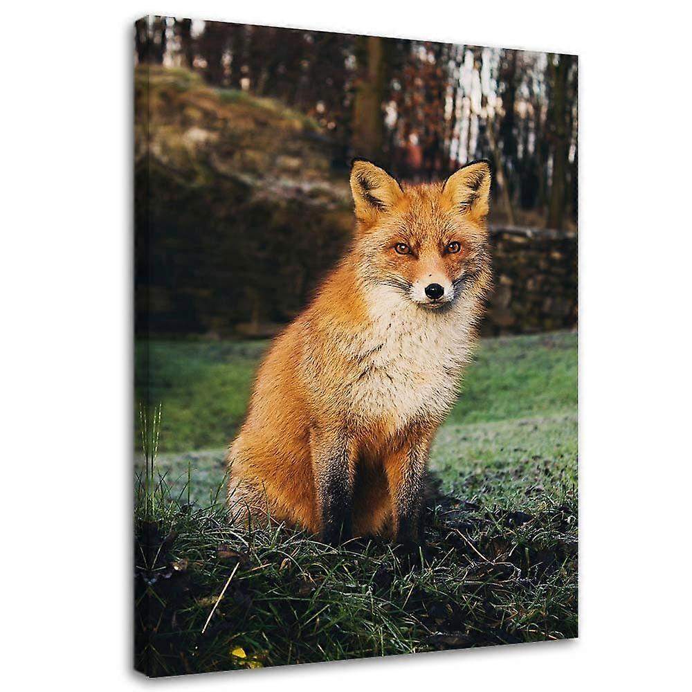Leinwandbild, Der Fuchs im Wald - 40x60