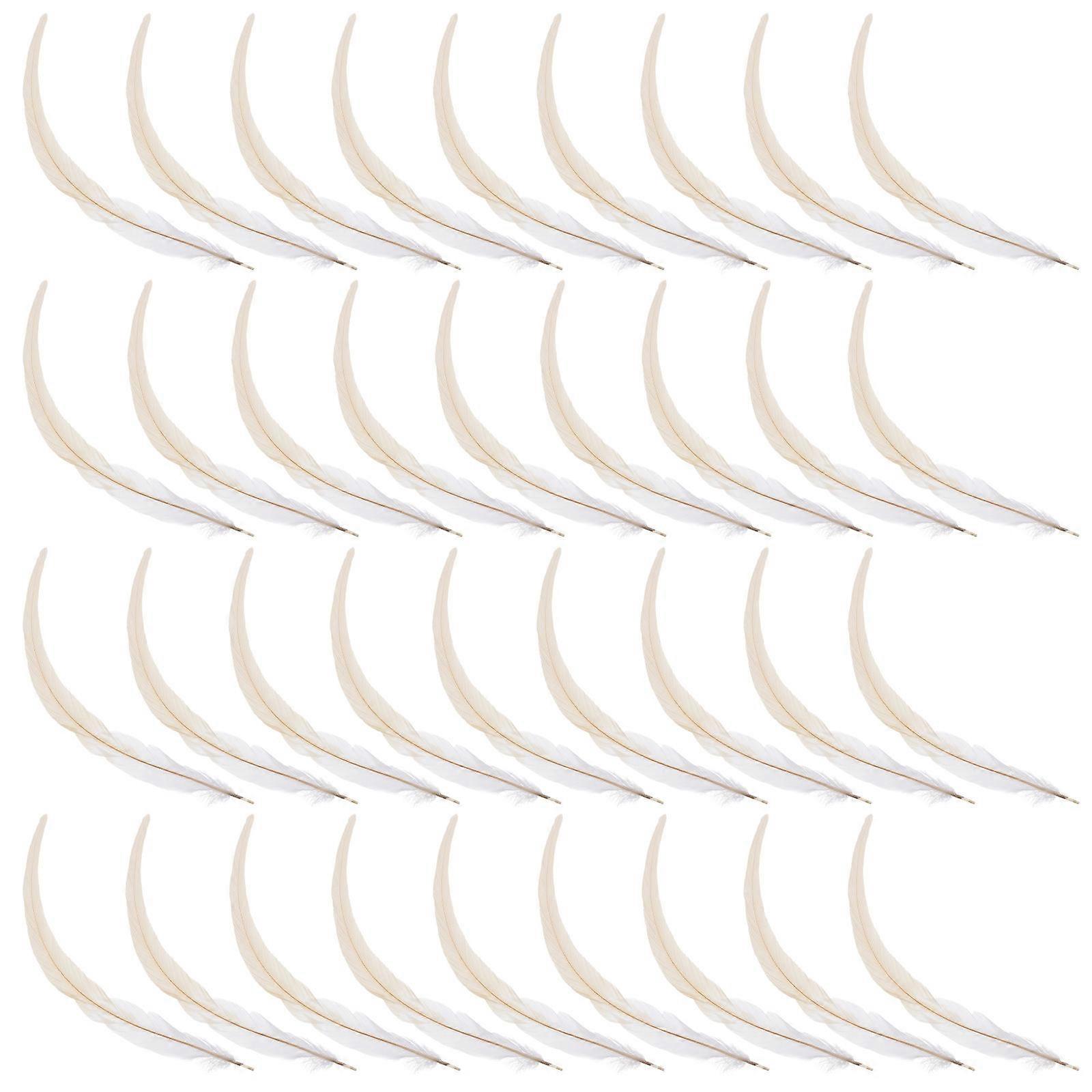 Tail Rooster Natural for Decorating 50Pcs White Craft