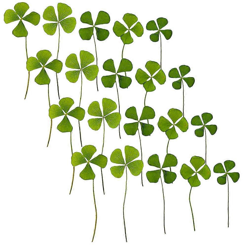Dried Shamrocks Dried Flowers Bookmark Decor -20mm Diy Material 24Pcs