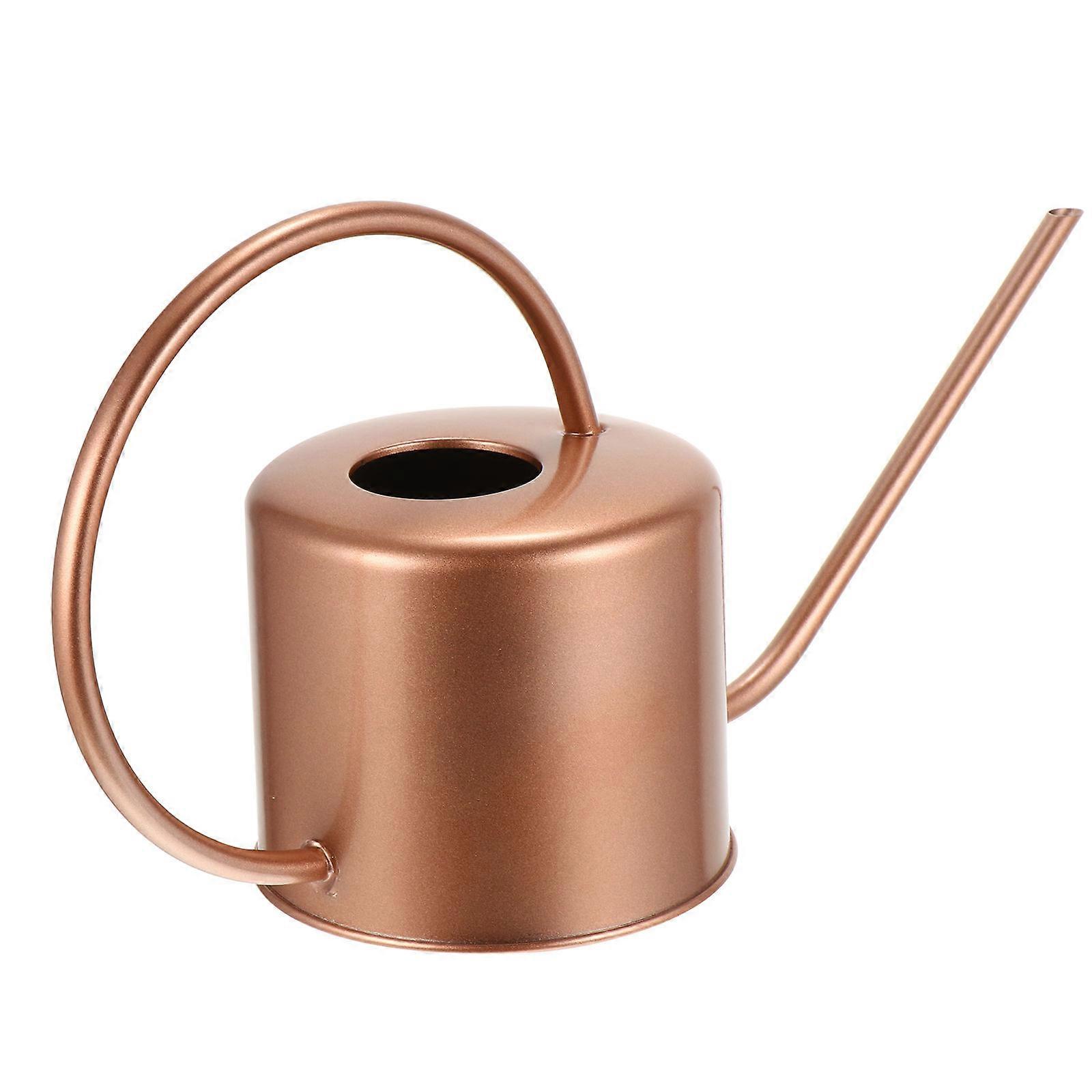 Modern Style Watering Pot Watering Kettle Stainless Steel Long Spout Home Use Large Capacity 1Pcs