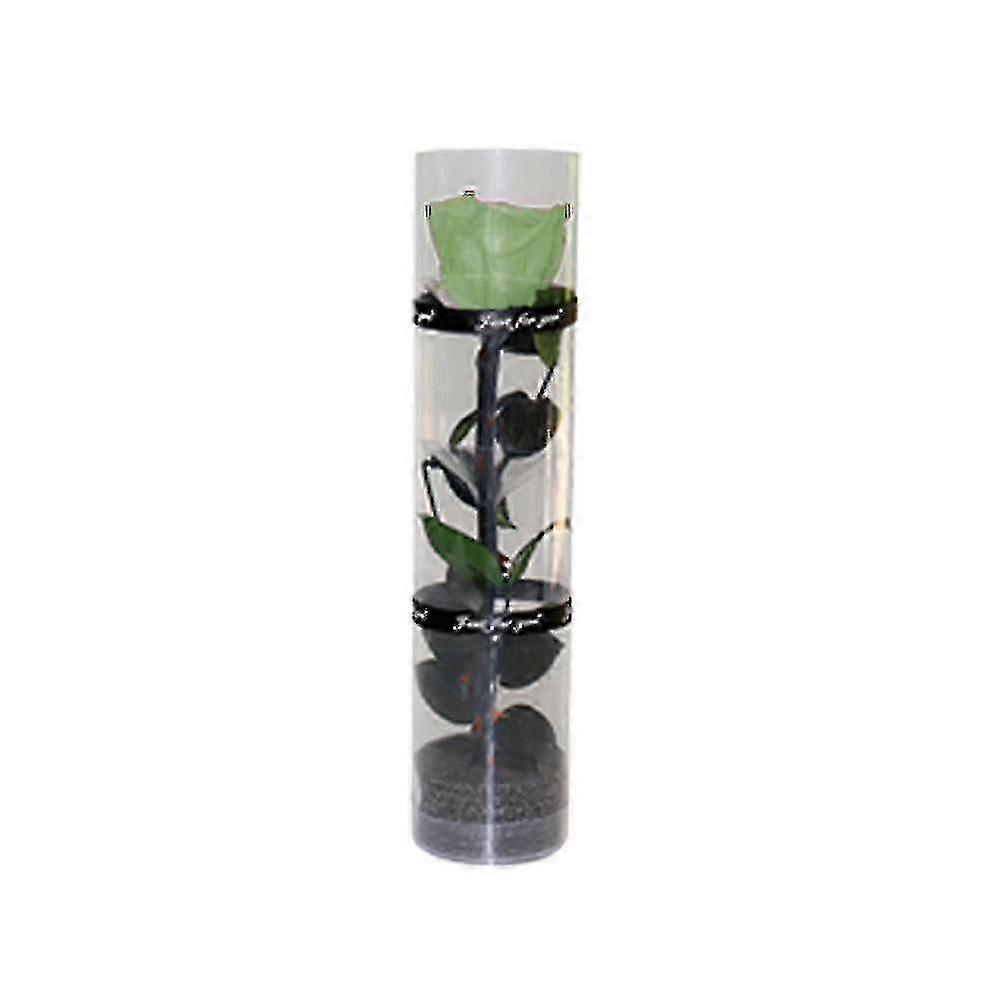 Eternal roses, about 27 cm long and 4.5 cm in diameter, with long-lasting color and appearance that can be maintained for several years