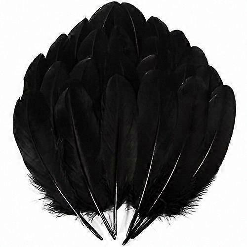 200 Pieces Natural Flight Feathers for Crafting and Decorative Projects