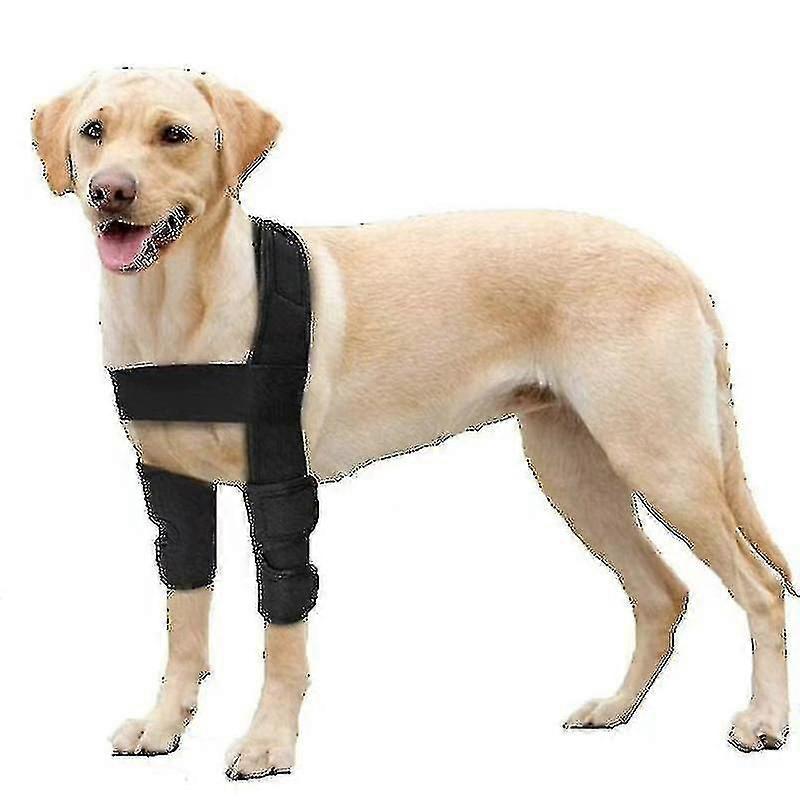 Codera de perro transpirable para hombros y codos caninos