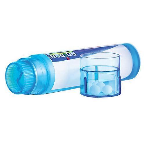 Sepia Officinalis 200 Ch, 80 Count by Boiron (Pack of 2)