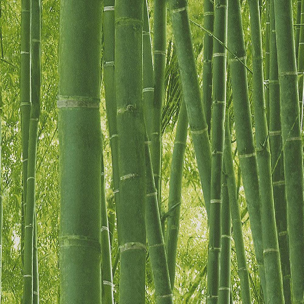 51124704 (on roll) Bamboo Wall Green Wallpaper