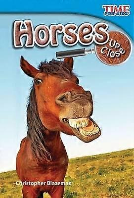 Hästar på nära håll