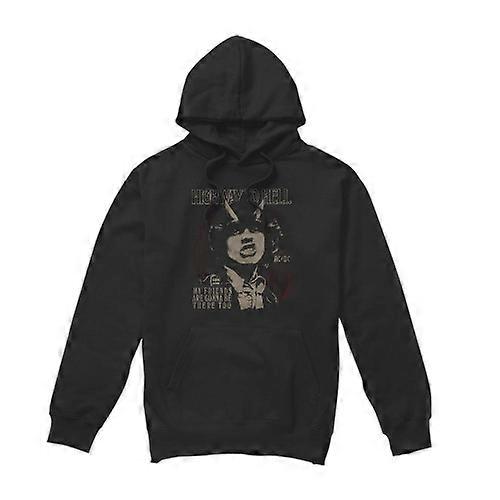 AC/DC Mens My Friends Hoodie