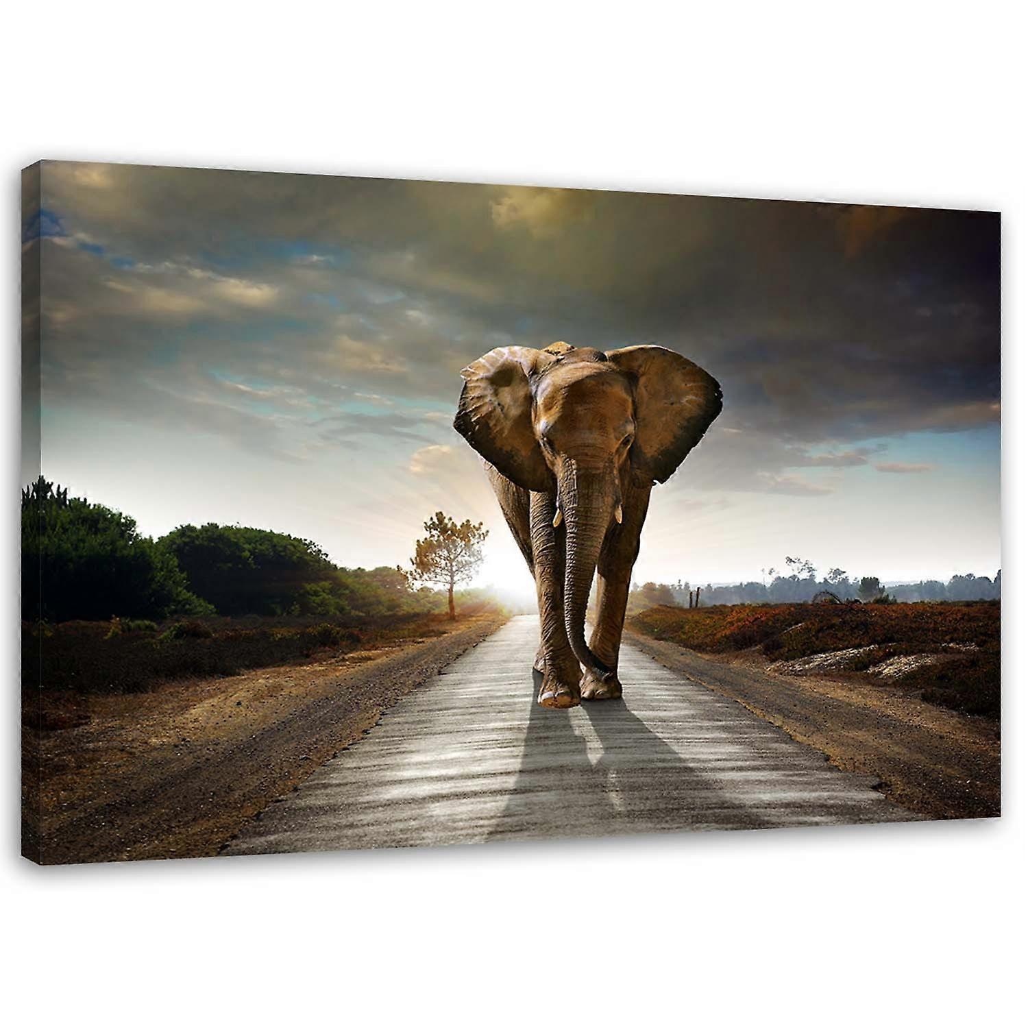 Impression sur toile, Eléphant errant - 100x70
