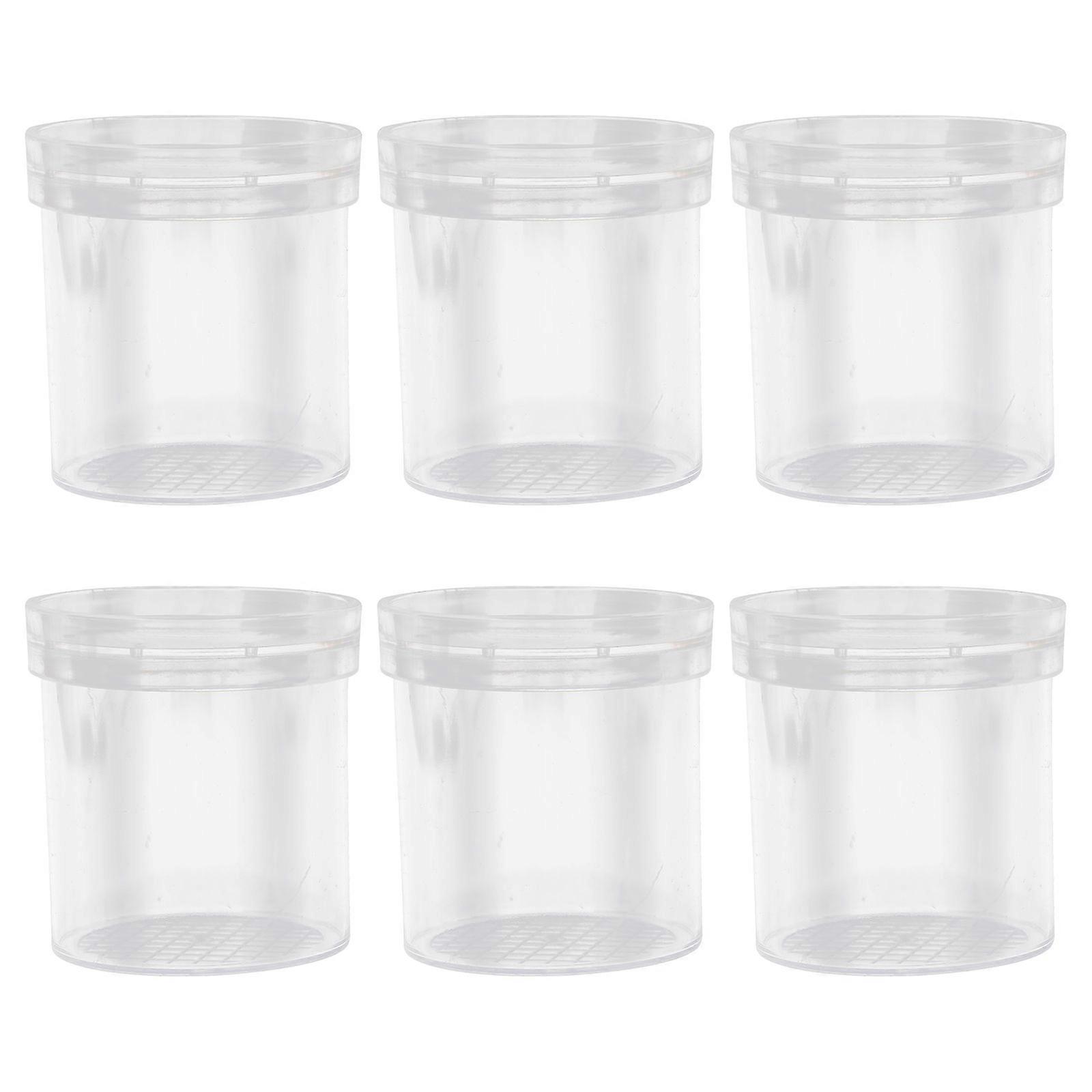 6Pcs Plastic Insect Observing Jar Outdoor Magnifying Bug Viewer Transparent