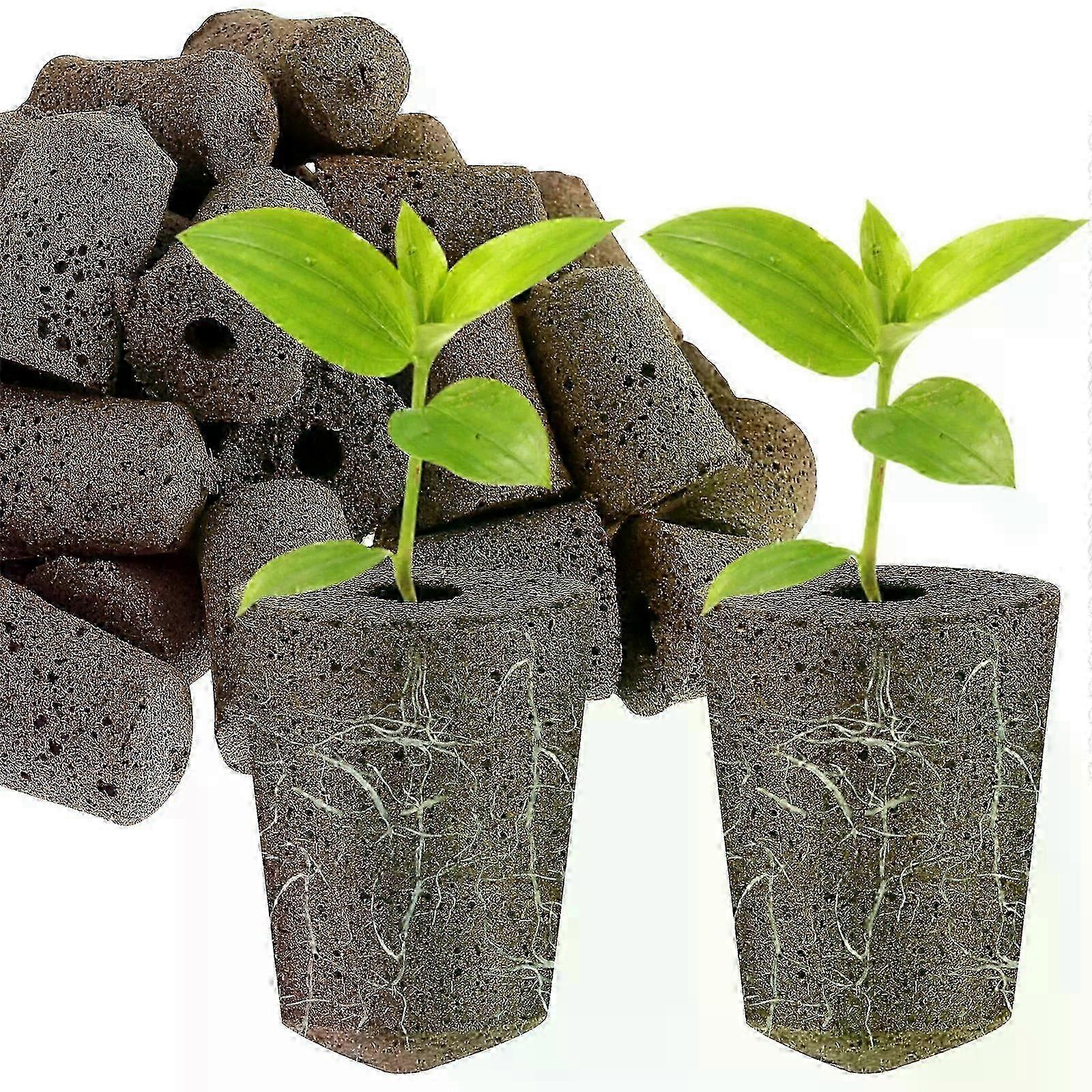 50 Pack Seed Grow Sponges Hydroponics Starter Replacement Root Grow...
