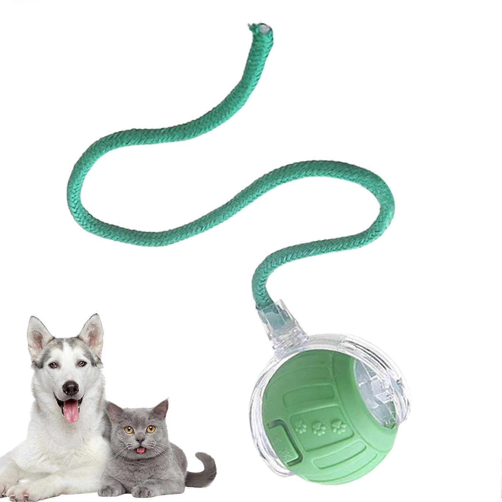 Interactive Cat Ball Automatic Cat Toy Rechargeable Small Ball With Tail Rope For Kitten Exercise Training Green