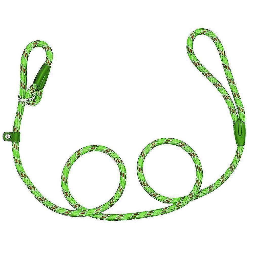 Pet Carrier Leash