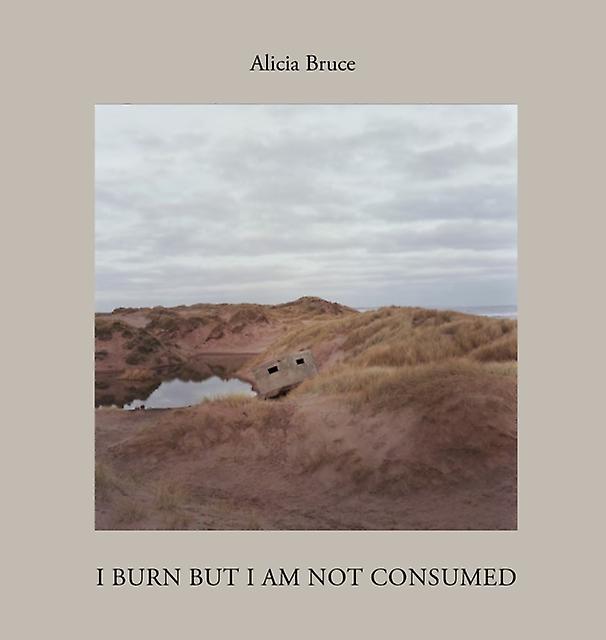 I Burn But Am Not Consumed by Alicia Bruce Hardback Book