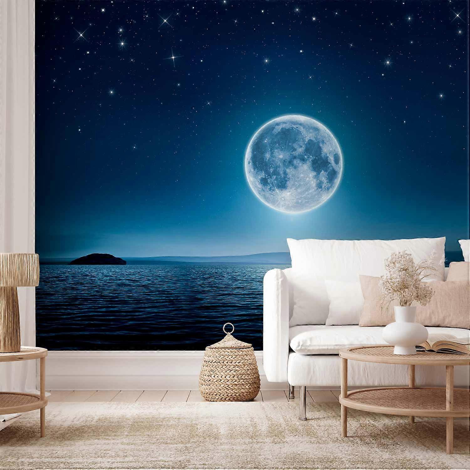 Wall Mural - Moonlit night