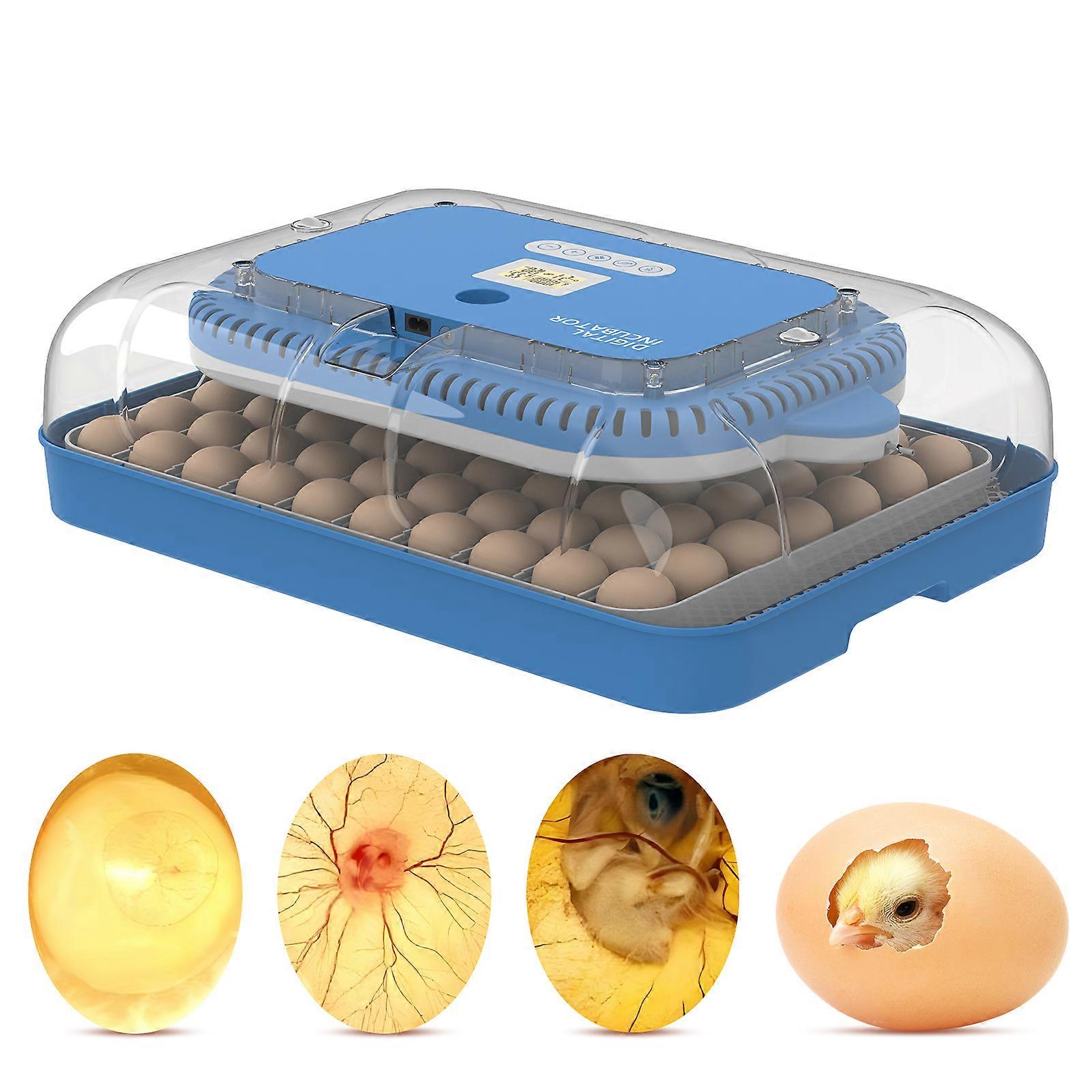 70 Eggs Incubator 3-in-1 LCD Display 60x43x18.5cm Digital Hatcher