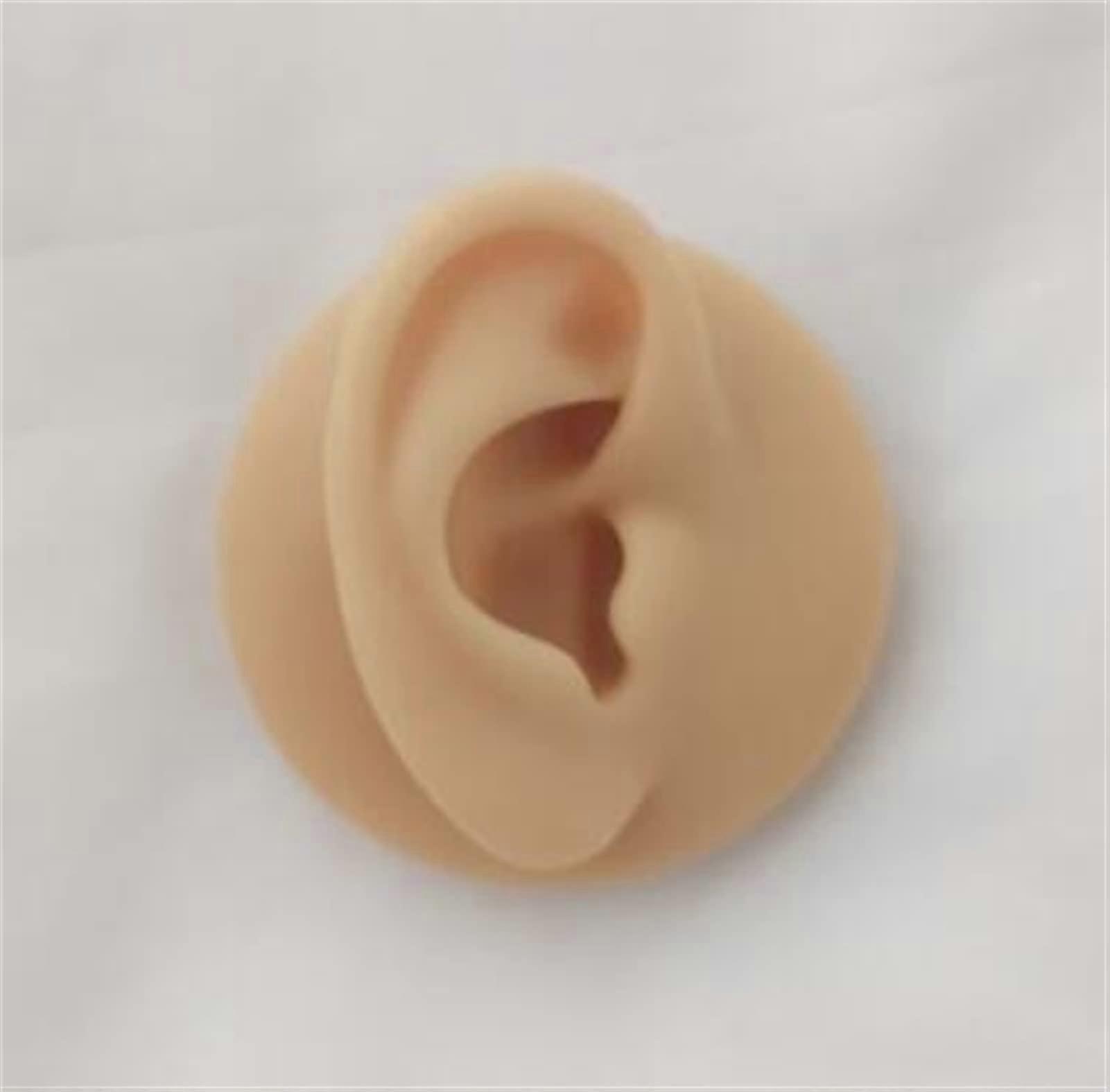 1PC Silicone Simulation Human Ear Model Piercing Acupuncture Ear Point Practice Teaching Earrings Display Props (Color: Right Ear)