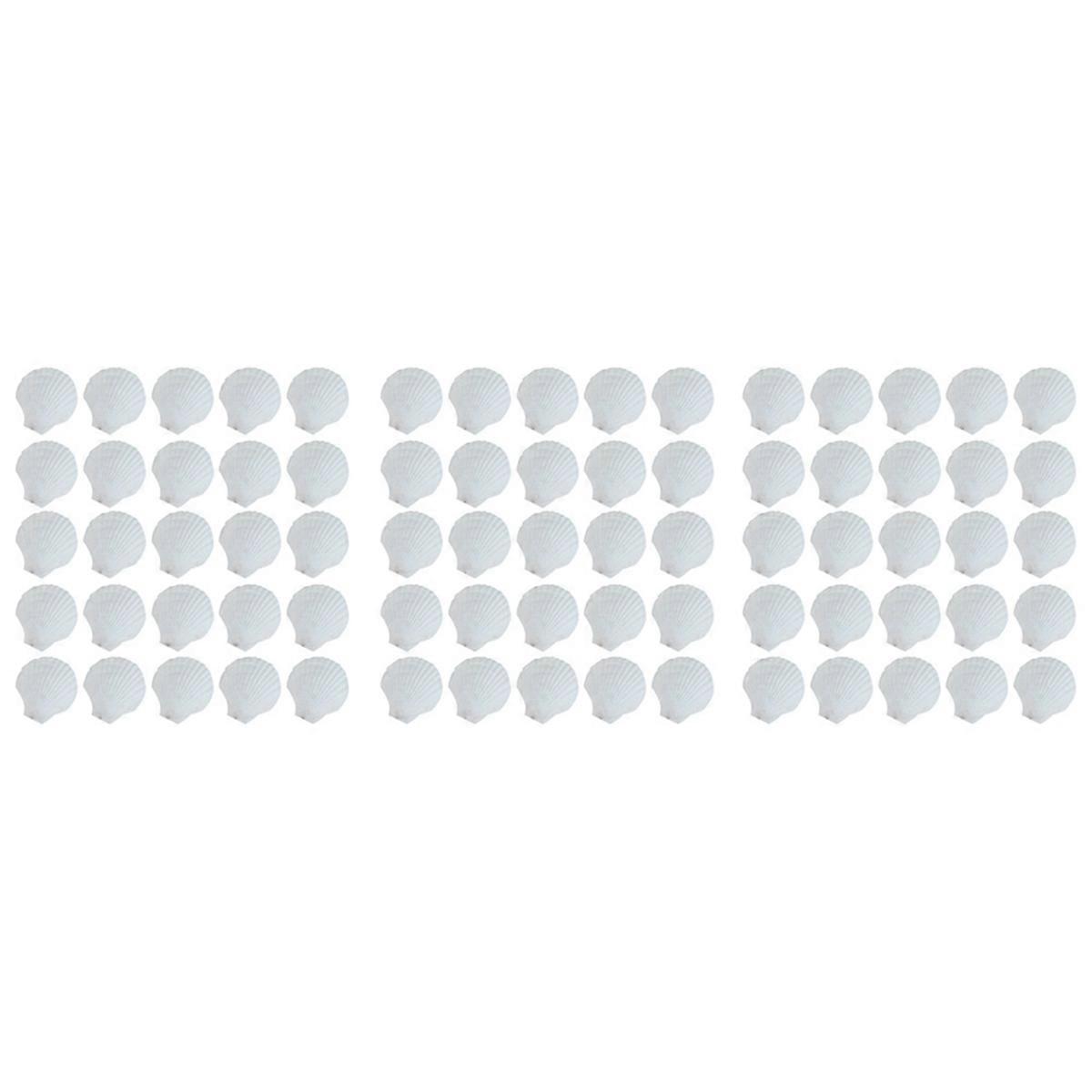 75Pcs Natural Scallop Shell, Special for Handmade DIY Production Handmade DIY Coloring Shell