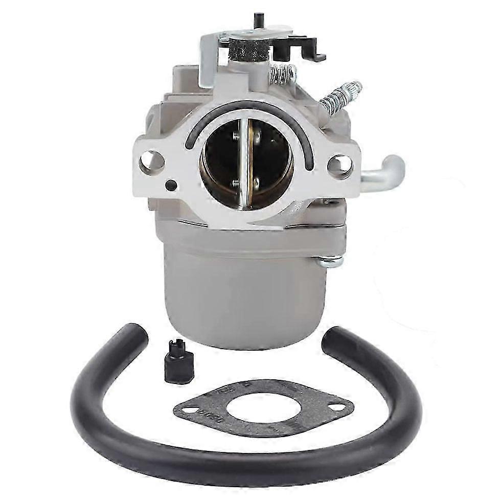 Karburátor Briggs és Stratton fűnyíró 590399 796077
