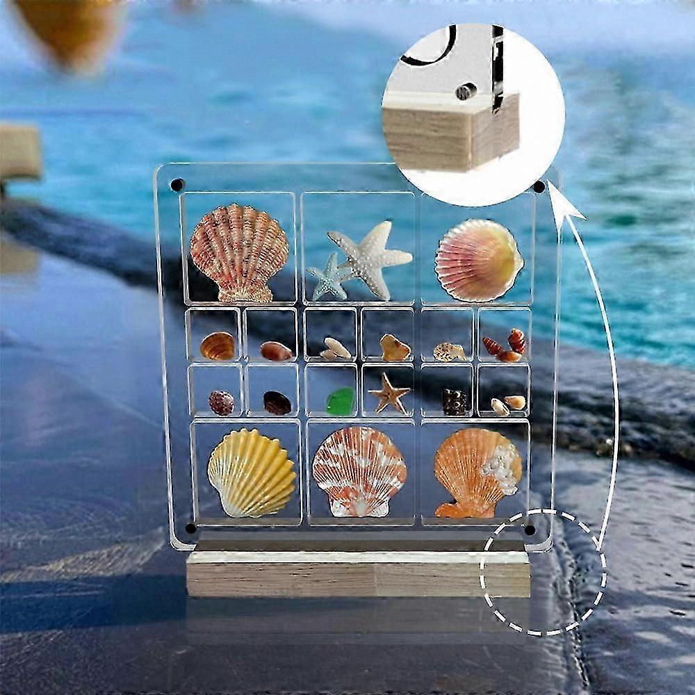 Acrylic Magnetic Display Box for Seashells and Jewelry Collection Storage