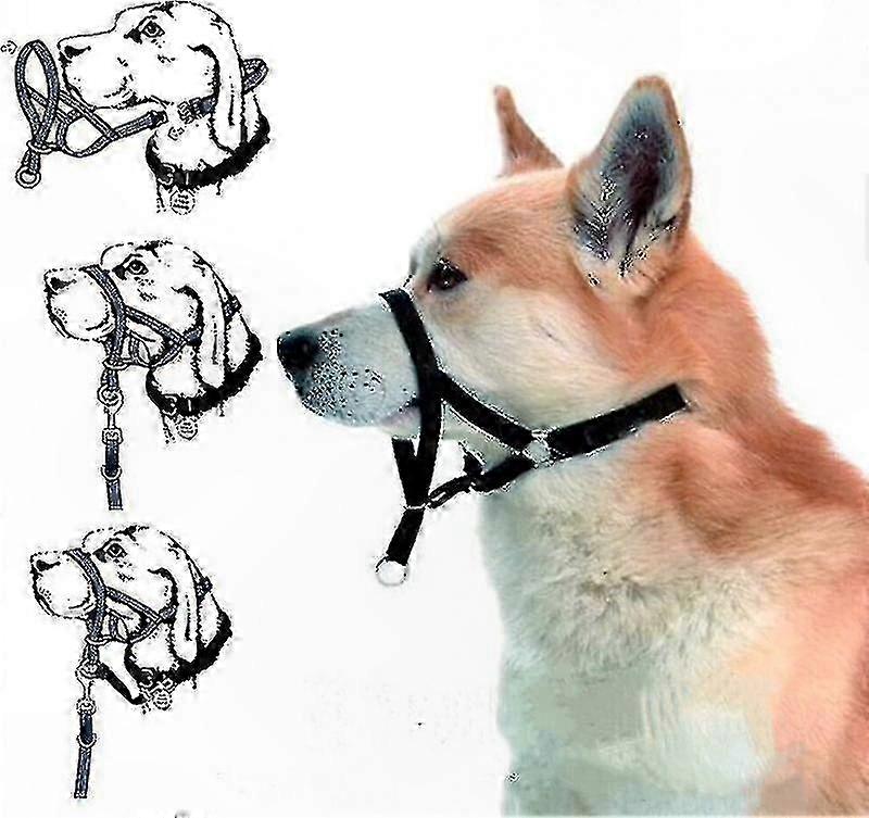 Dog Training Head Collar for Leash Control - Prevent Pulling and Improve Obedience with Comfortable Fit