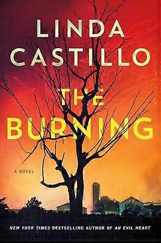 Burning - Linda Castillo