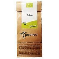 Sage 25 g