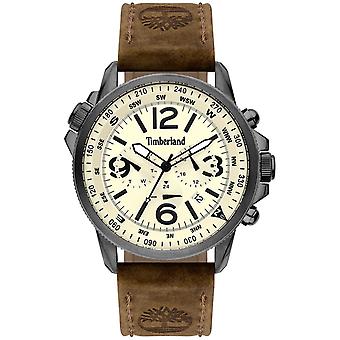 Timberland campton Quartz Analog Men's Watch with Cowskin Bracelet 15129JSU-14