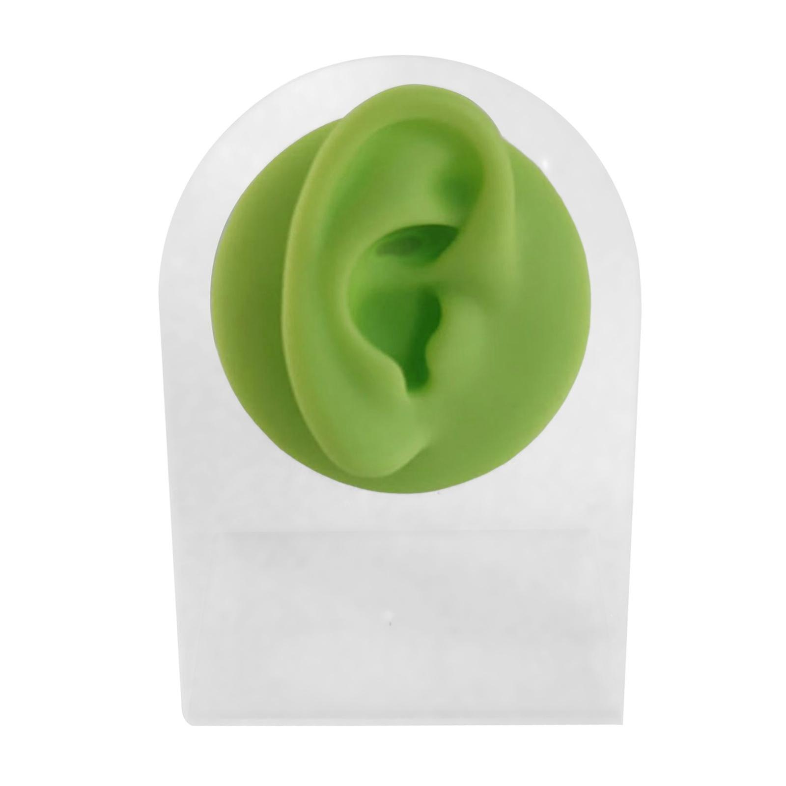 Silicone Ear Model Imitation Display Tools for Piercing Practice Earring Green Right