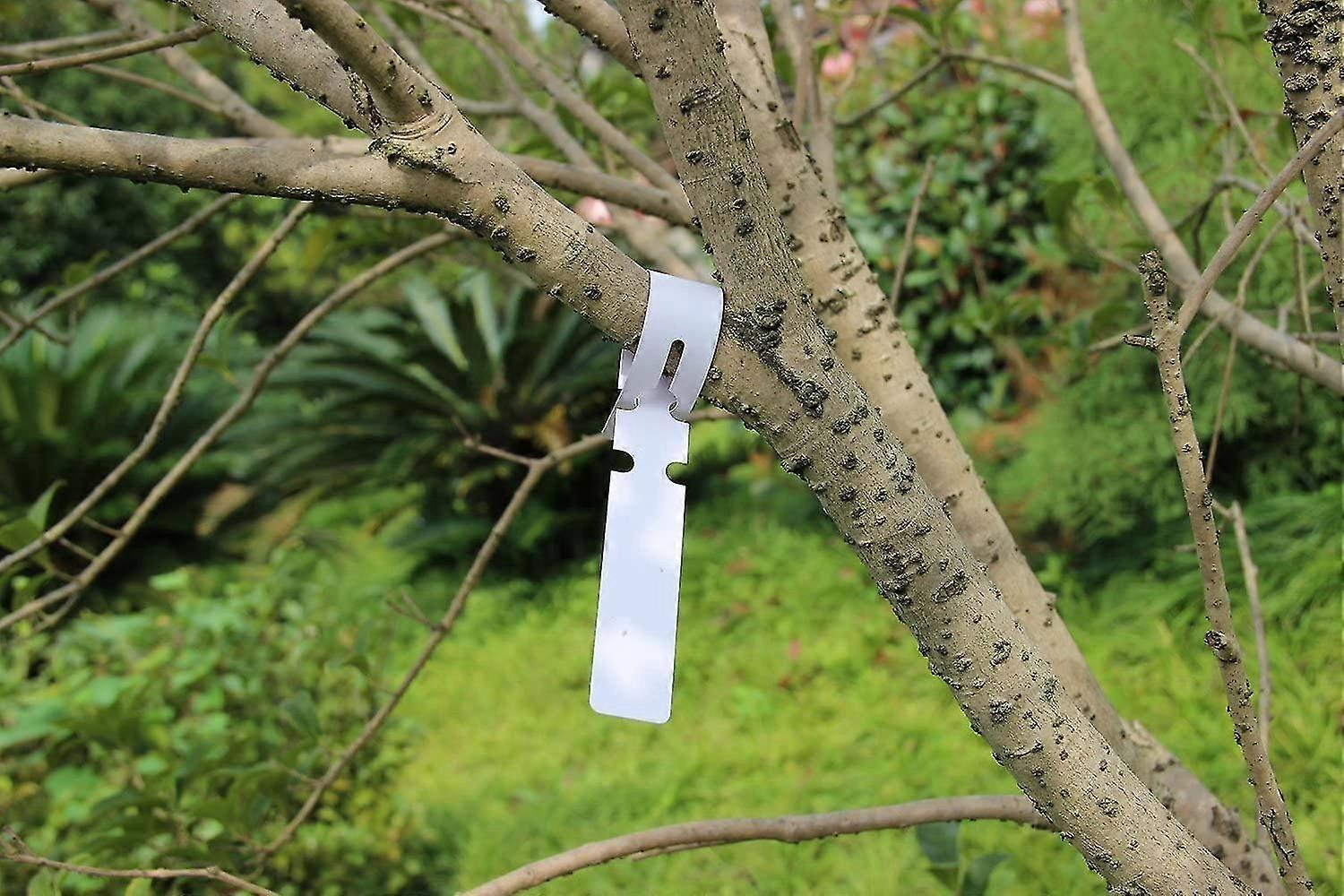 200pcs. White Plastic Plant Plugs Stick-in Labels Label Plant Signs Signs